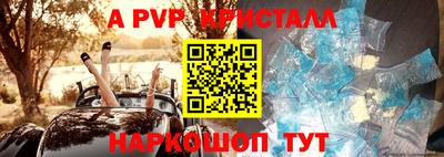 трава Сланцы