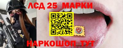 гидропоника Славгород