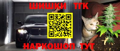 трава Сланцы