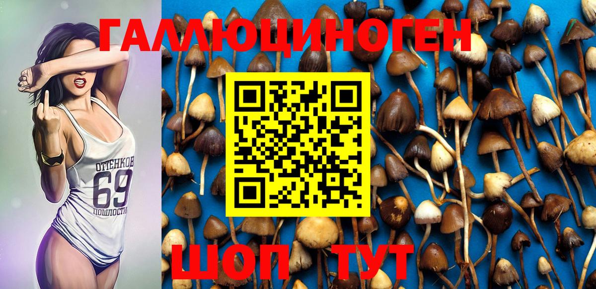 Галлюциногенные грибы MAGIC MUSHROOMS Сарапул