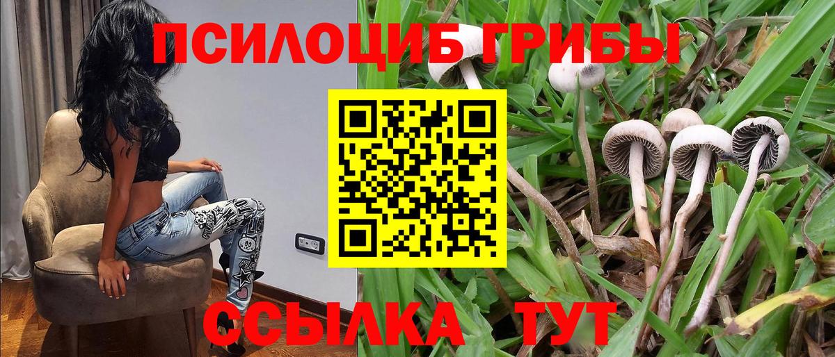 купить наркотики сайты  Вход с VPN  Галлюциногенные грибы ЛСД  Сарапул  Псилоцибиновые грибы Psilocybine cubensis 